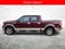 2009 Ford F-150 XL