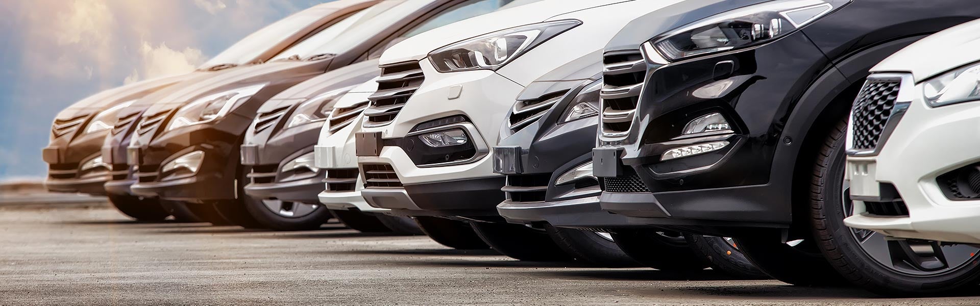 Best Used Trucks and SUVs